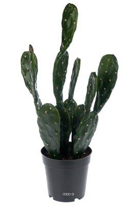 cactus artificiel en pot