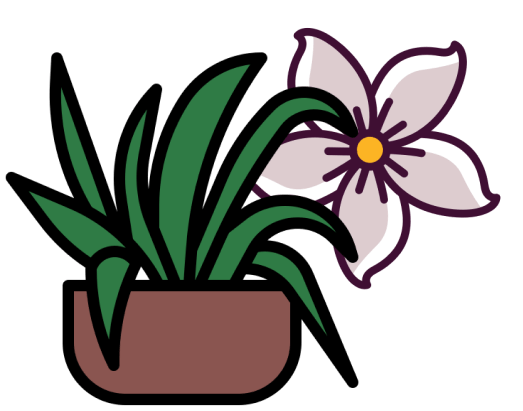 Plantes et fleurs
