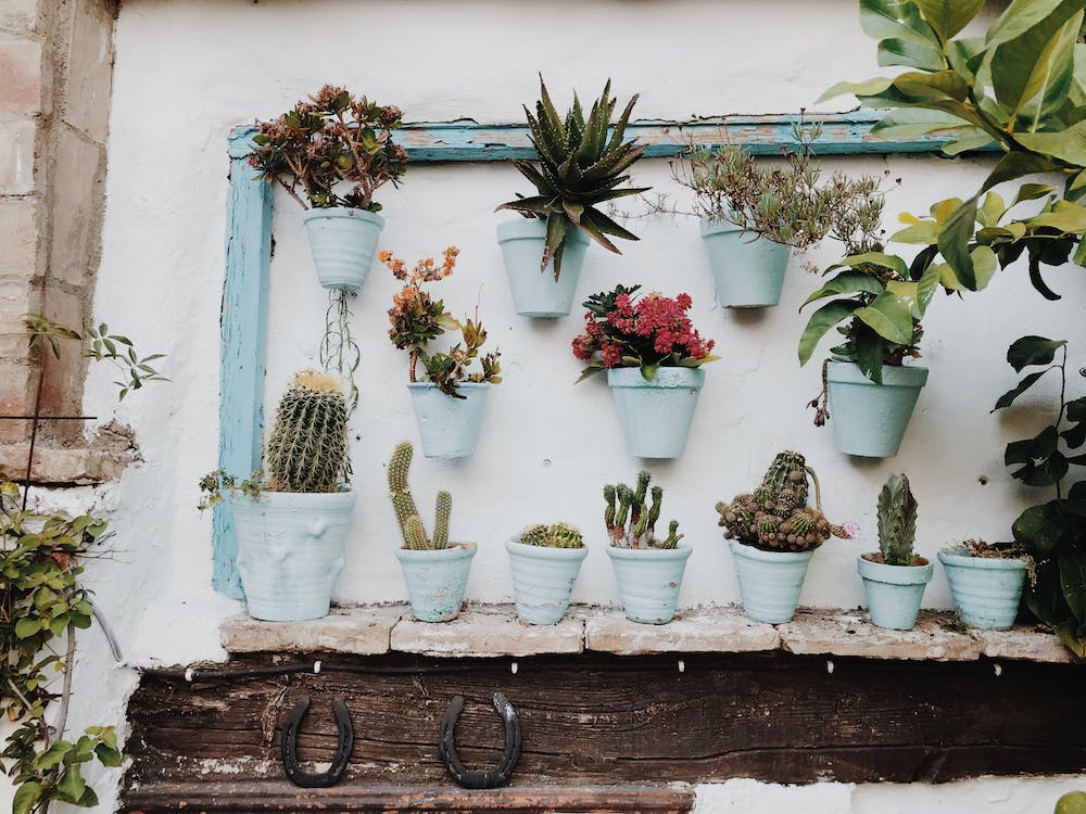 plantes artificielles en pots suspendus