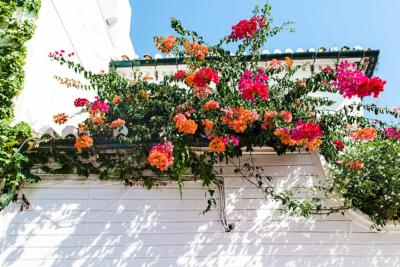 Jardinières plantes artificielles | Artificielles.com