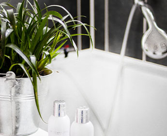 Blog - plantes salle de bain