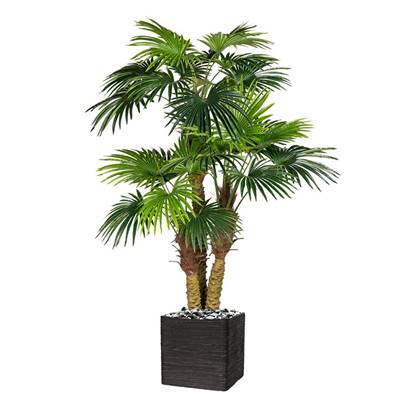 Palmier Chamaerops artificiel H 185 cm 3 troncs 26 feuilles en pot