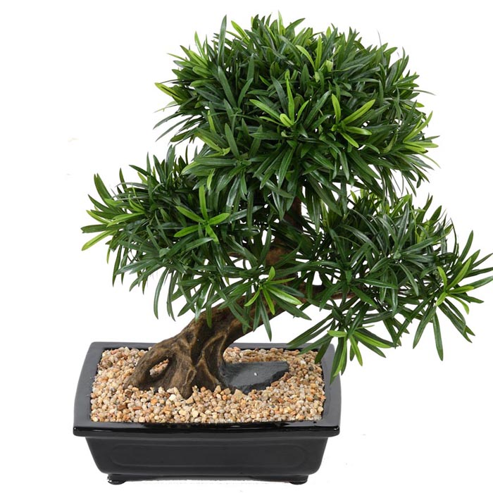 bonsaï artificiel podocarpus