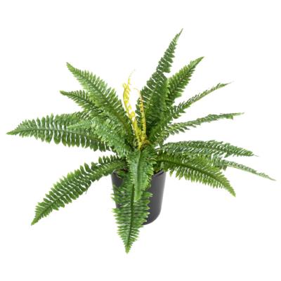 Asparagus artificiel retombant en pot suspendu