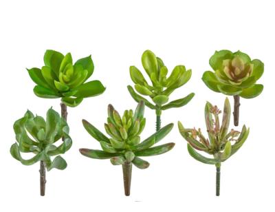 Cactes plantes artificielles lot de x3