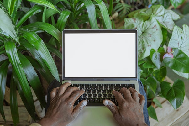 Ordinateur entour de plantes artificielles